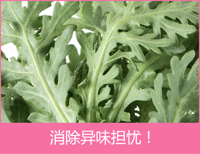消除异味担忧!