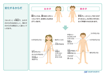 初経教育を実施される学校の先生へ教材提供のご案内 はじめてからだナビ